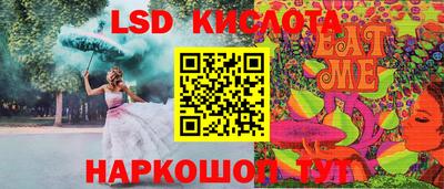 spice Камышлов