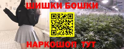 шишки Изобильный