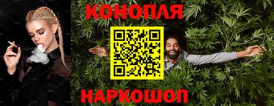 шишки Изобильный