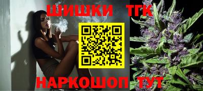 spice Камышлов
