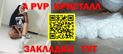 шишки Изобильный