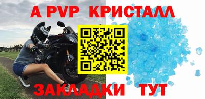 шишки Изобильный