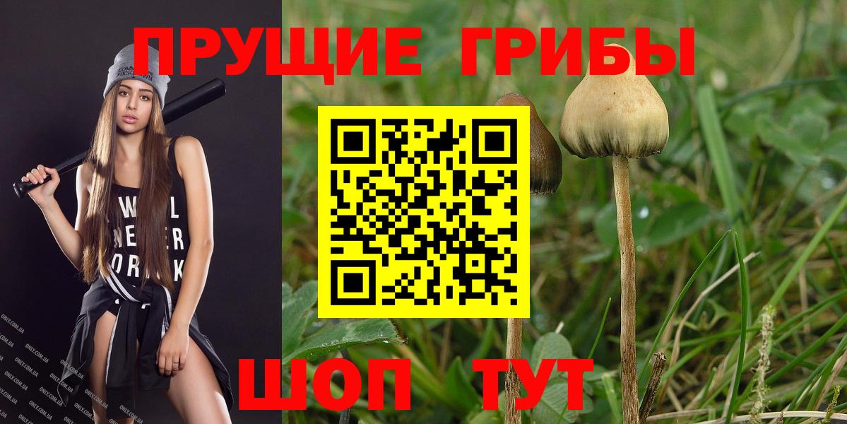 Галлюциногенные грибы Cubensis Кыштым